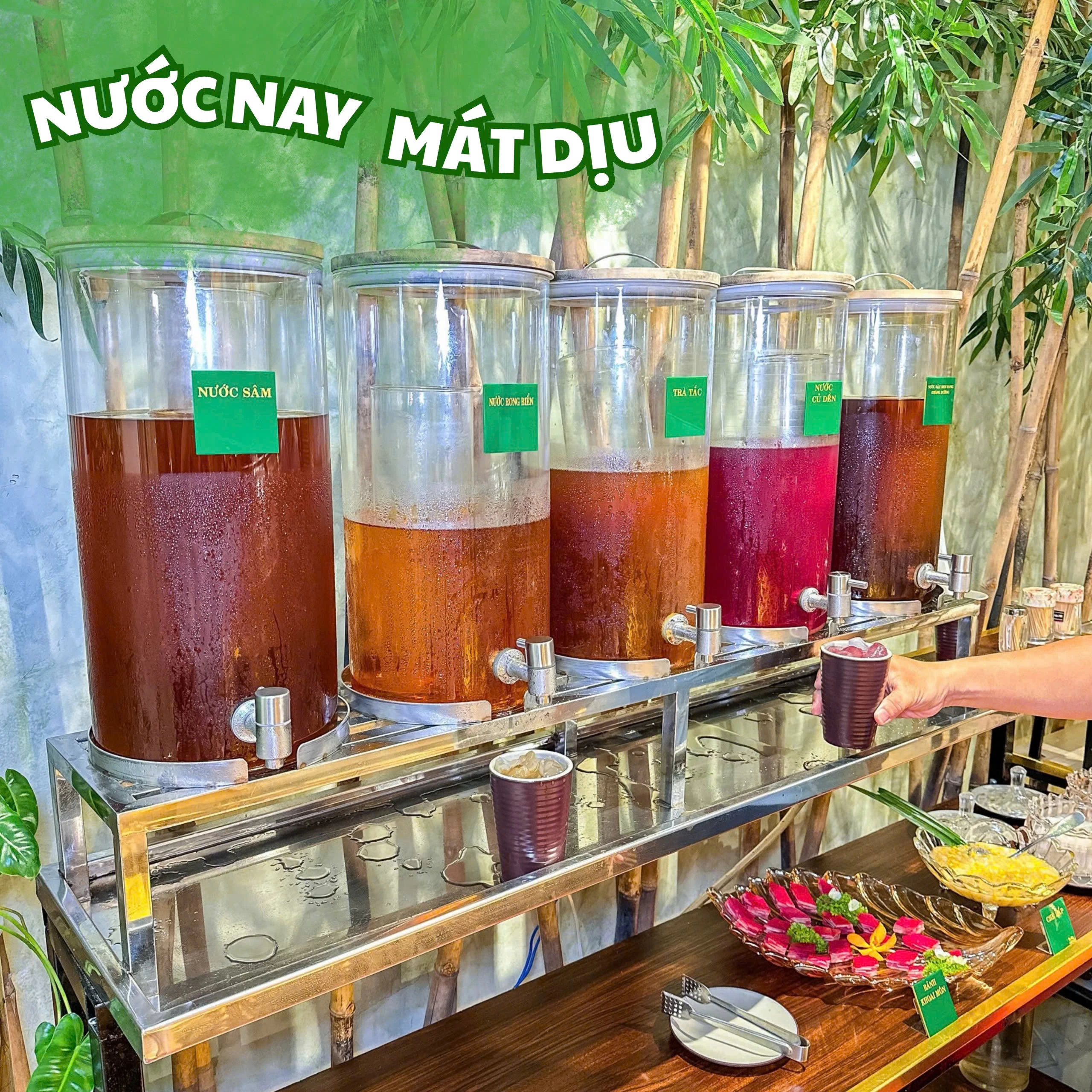Nước uống mát dịu của Tuệ Tự Tâm