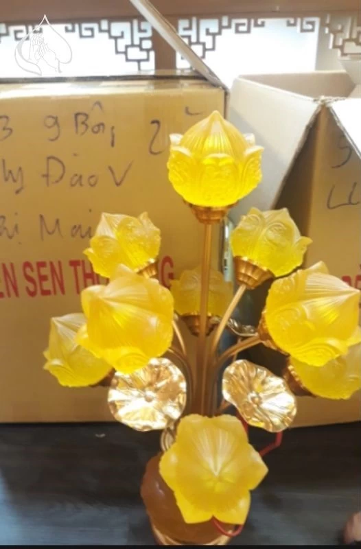 Đèn sen búp lưu ly