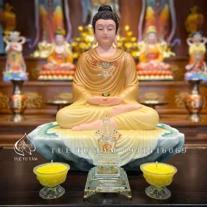 Tượng Bổn Sư Bột Đá Tịnh Tọa Phủ Y Vẽ là sản phẩm thuộc phân khúc cao cấp